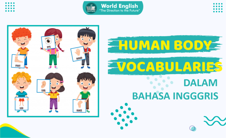 Wajib Untuk Hafal Diluar Kepala! Berikut Daftar Kosakata Bahasa Inggris tentang Anggota Tubuh Manusia (HUMAN BODY VOCABULARIES)